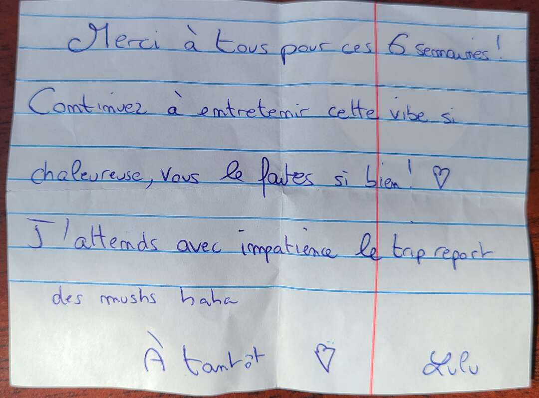 Mot de départ de Lulu