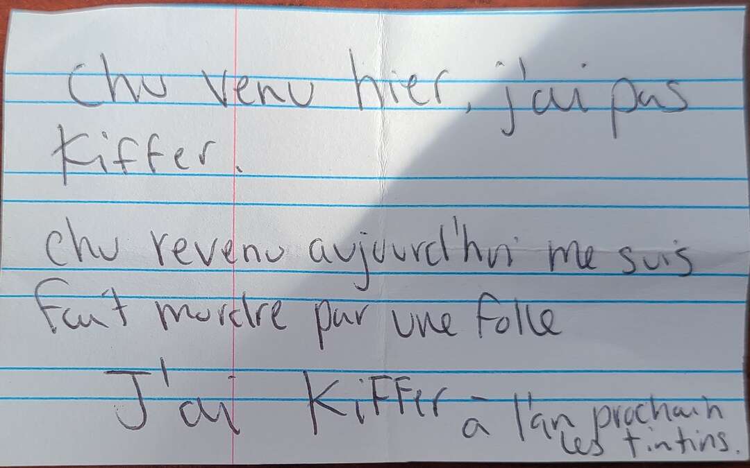 Chu venu hier, j'ai pas kiffer. Chu revenu aujourd'hui me suis fait mordre par une folle. J'ai kiffer à l'an prochain les tintins.