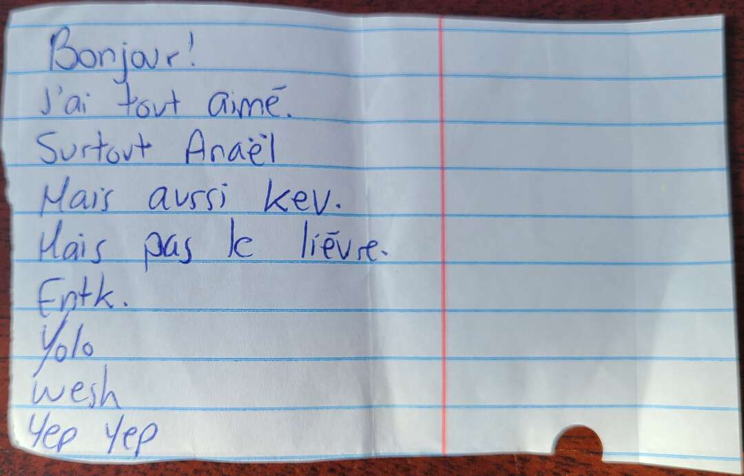 Bonjour !  J'ai tout aimé. Surtout Anaël. Mais aussi Kev. Mais pas le lièvre. Fntk. Yolo. Wesh. Yep Yep