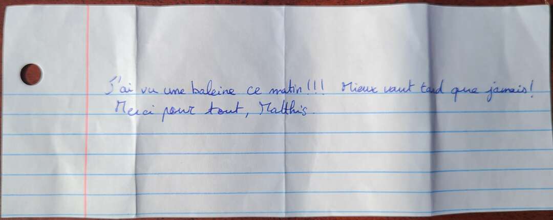 J'ai vu une baleine ce matin !!! Mieux vaut tard que jamais ! Merci pour tout, Mathis